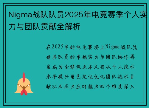 Nigma战队队员2025年电竞赛季个人实力与团队贡献全解析
